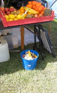 donations of fruit were placed on the open table, compost bin at the ready, day four